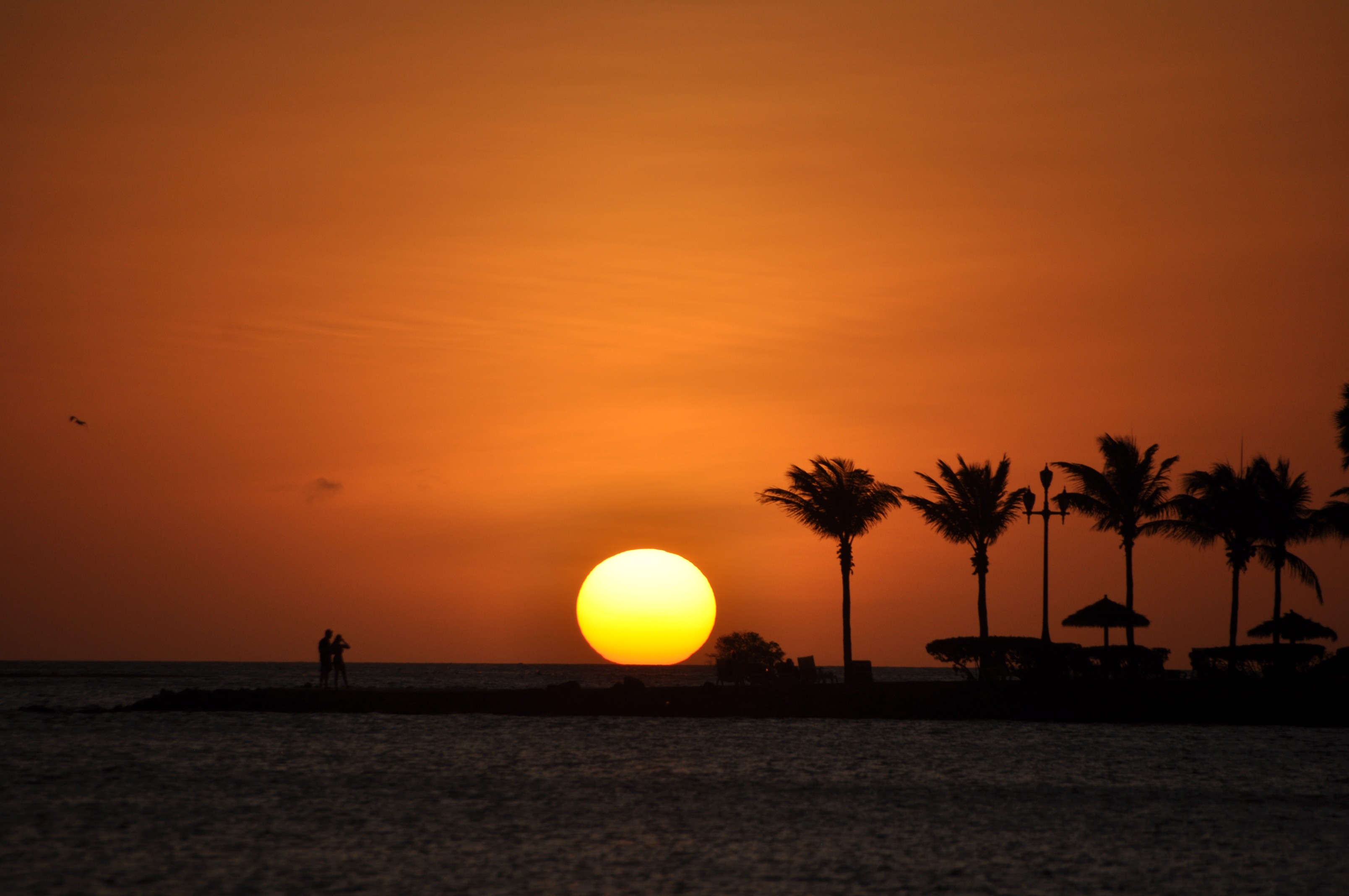 Zonsondergang met palmbomen